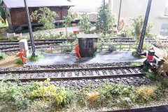 pic-33.jpg